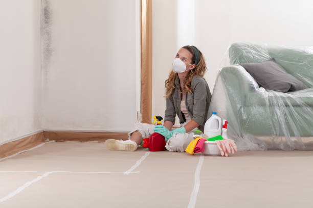 Reliable Mold Inspection contractor in Bound Brook, NJ by WQB Mold Removal